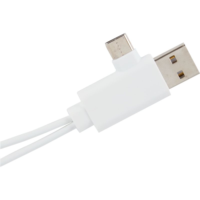 Multi-Connector Charging Cable
