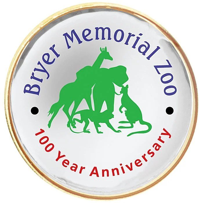 Lapel Pin